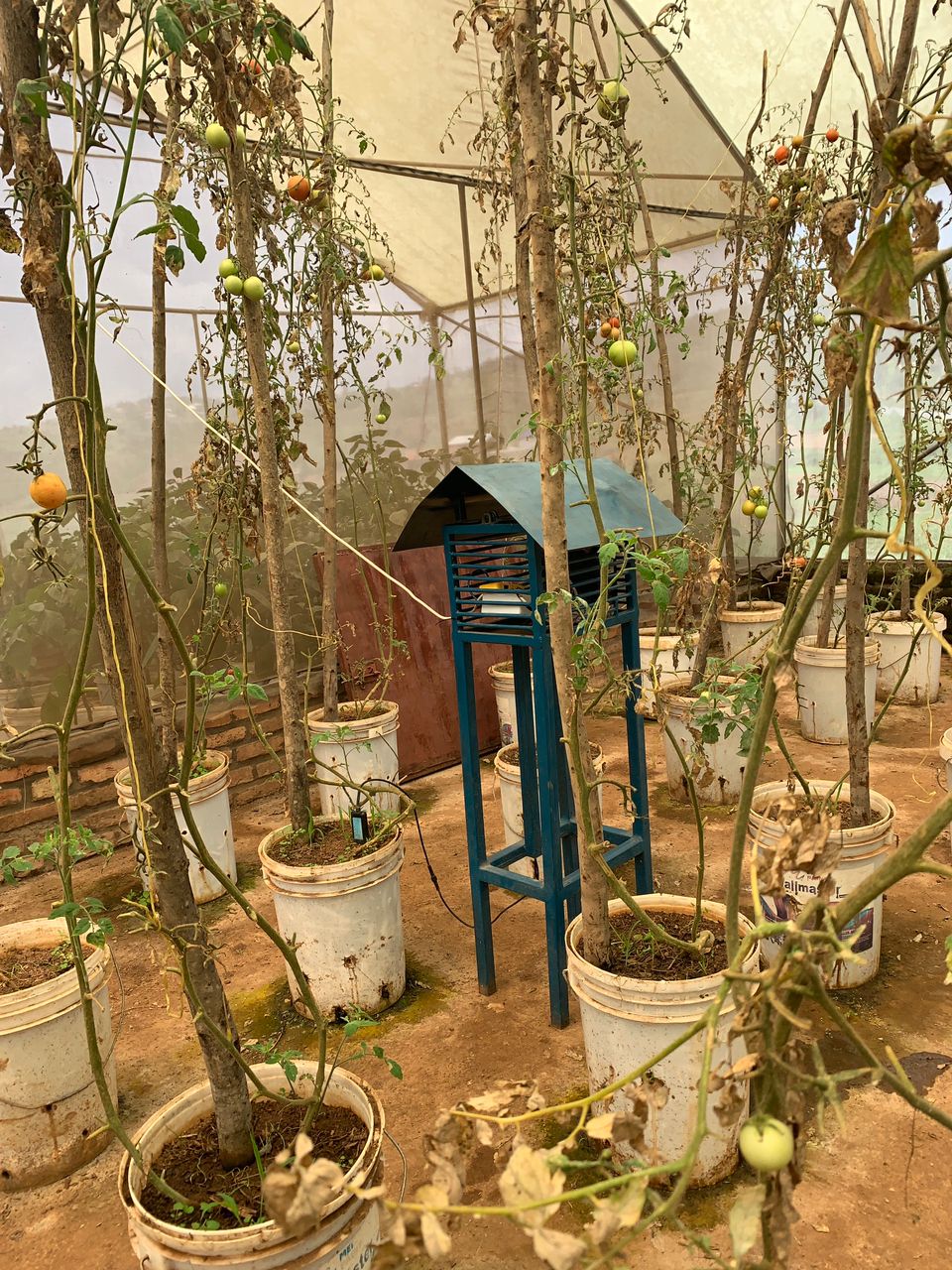 ShambaAssist indoor