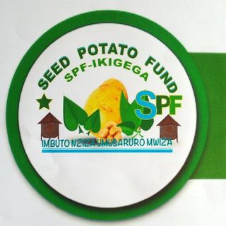 Njenga Greens